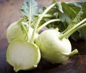Kohlrabi cabbage: its composition and beneficial properties, photo