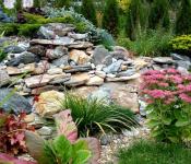 Jardín de rocas: tipos, estructura, plantas.