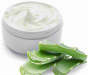 Aloe für das Gesicht zu Hause: Rezepte, Anwendungsmethoden, Bewertungen